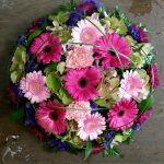 Pink Posy