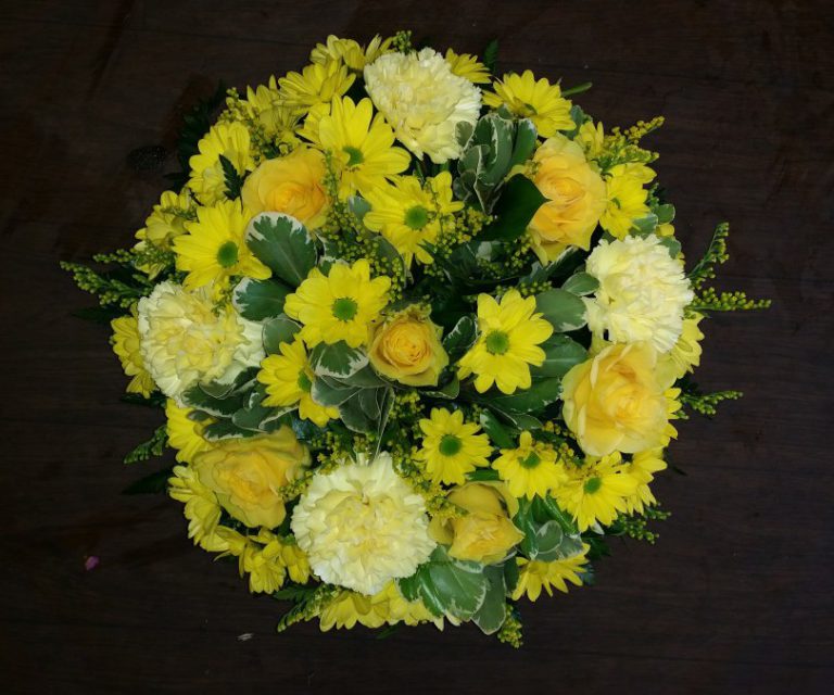 Yellow Posy