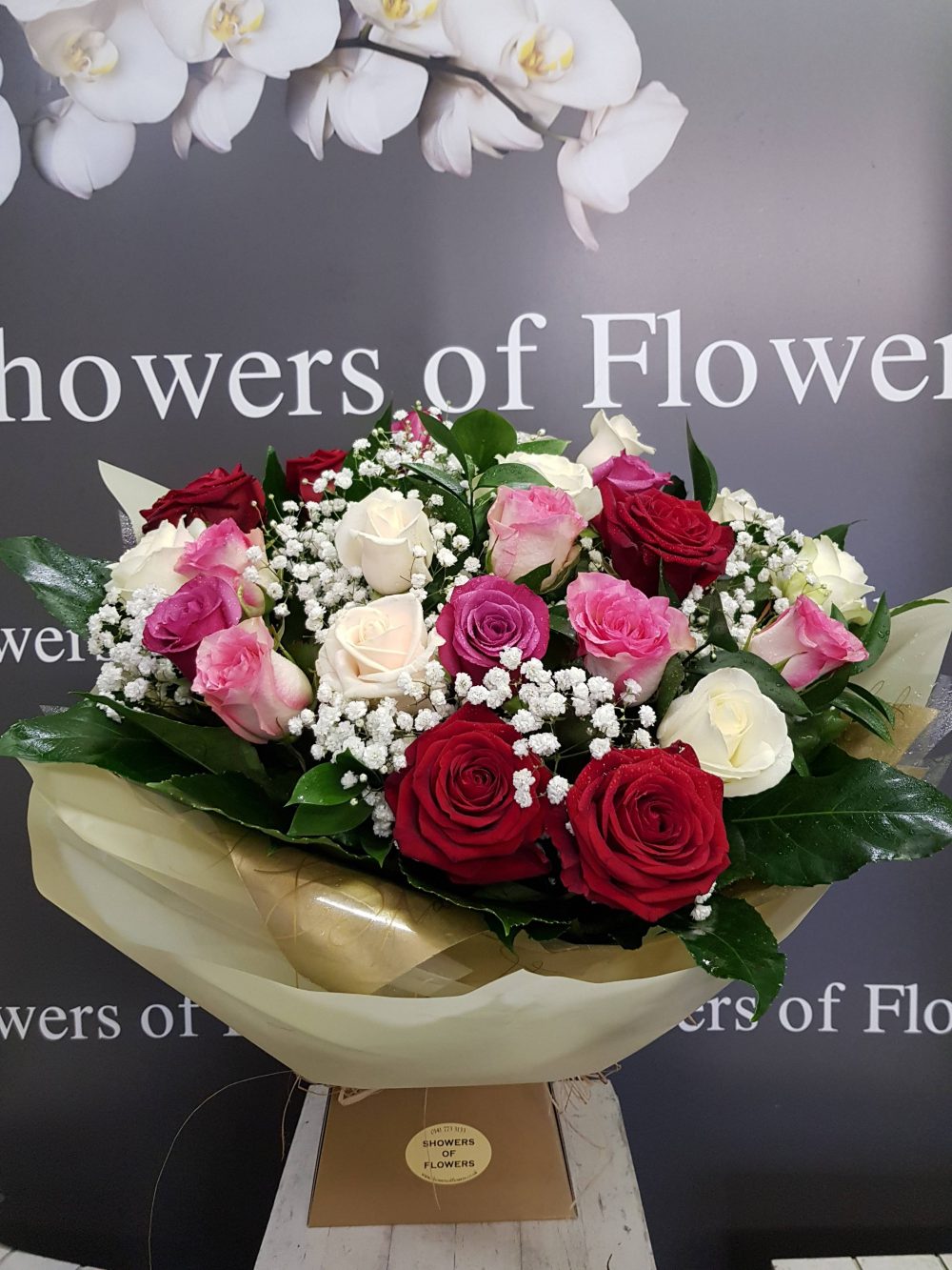 Mixed Roses | Showers of Flowers